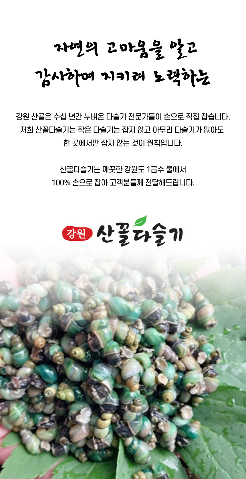 회사 이미지
